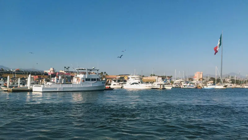 Fishing and boat trips